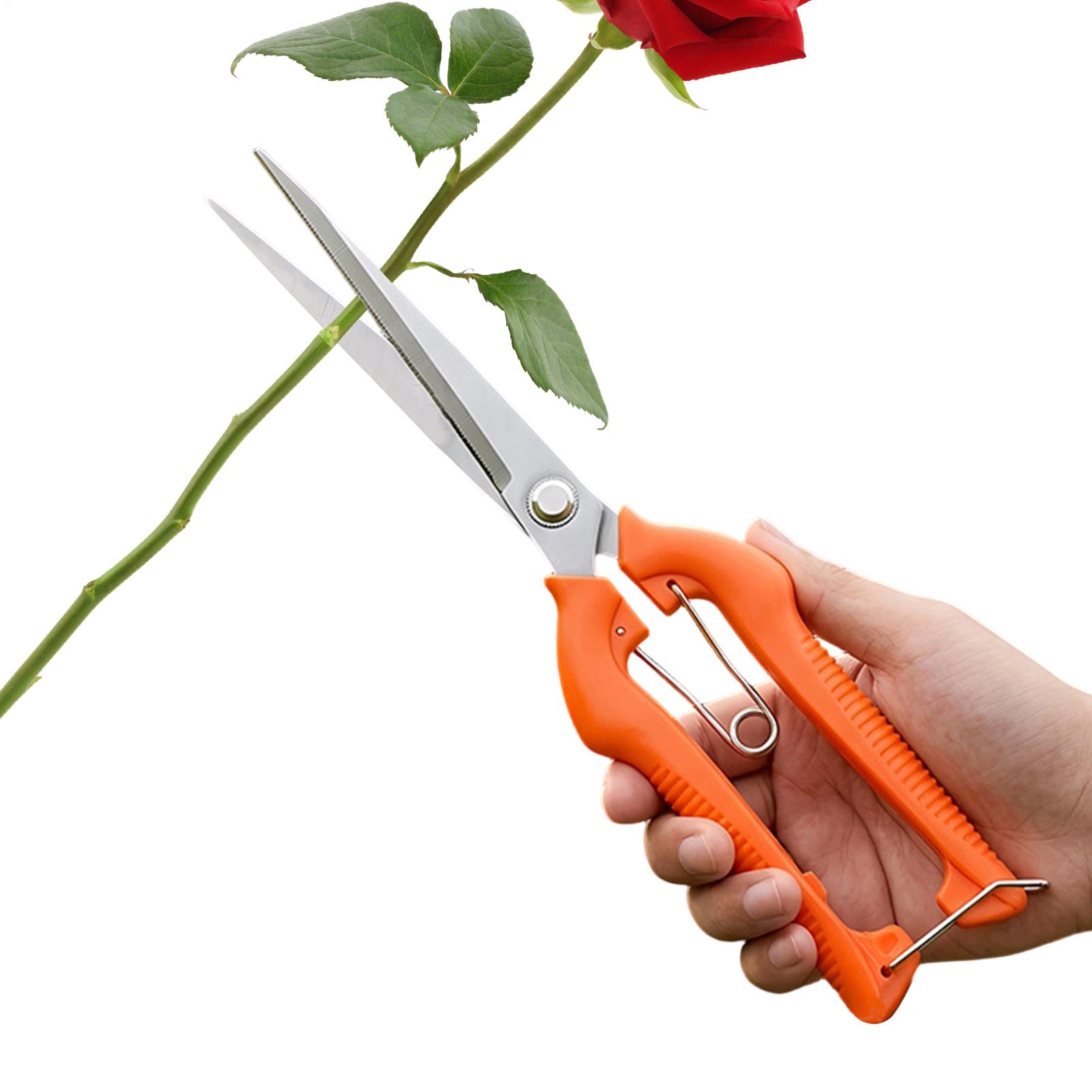 Gardening Tools Women - مقص تقليم العنب، أداة حديقة، مقص
