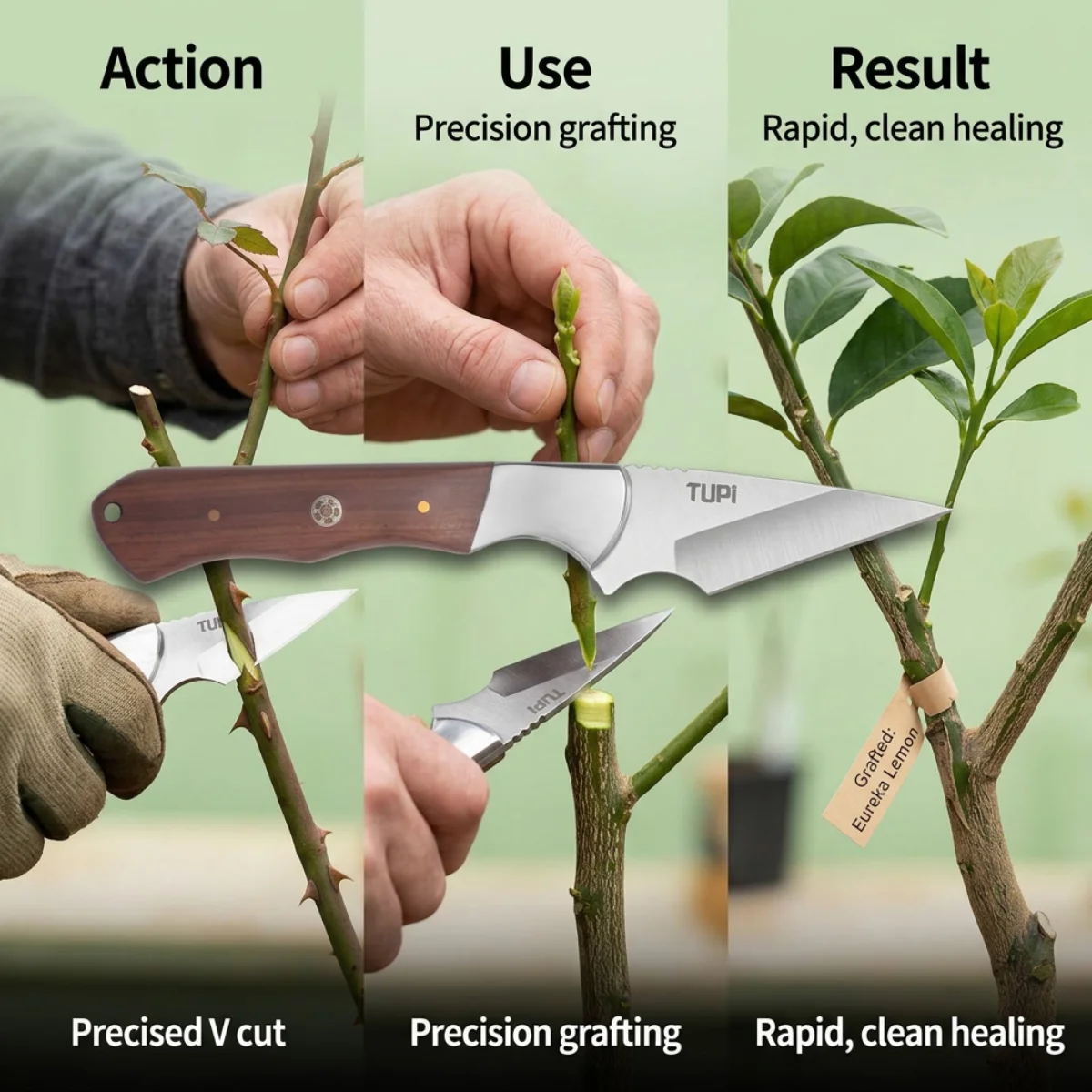 أداة قطع الأغصان القابلة للطي  - مراجعة Gardening Tools To Cut Branches وسعره