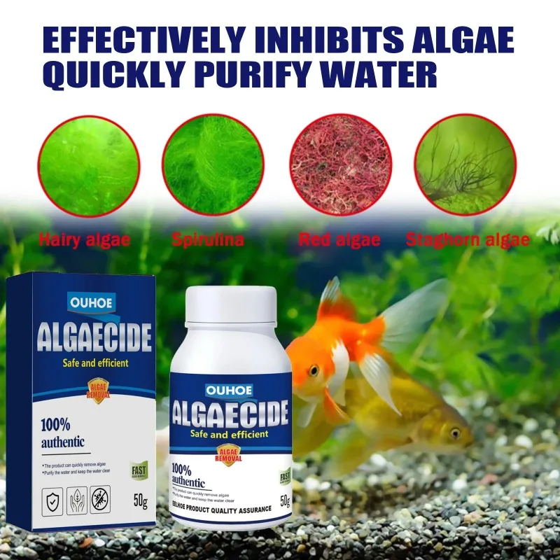 50 جرام من مبيد الطحالب عالي ا - مراجعة Aquaponics Fish Tank وسعره