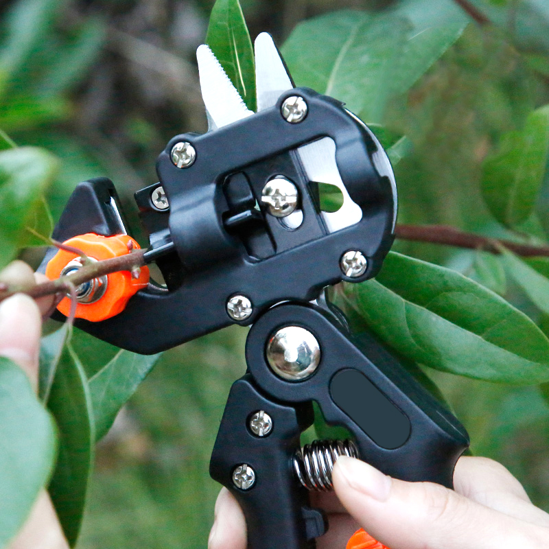 تطعيم فيلم تطعيم مقص فرع النبا - مراجعة Gardening Tools To Cut Branches وسعره