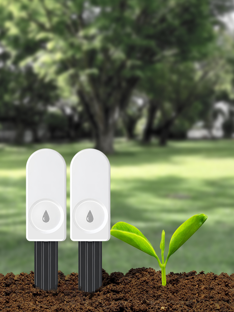 جهاز قياس رطوبة التربة بتقنية  - مراجعة Moisture Meter Plant وسعره