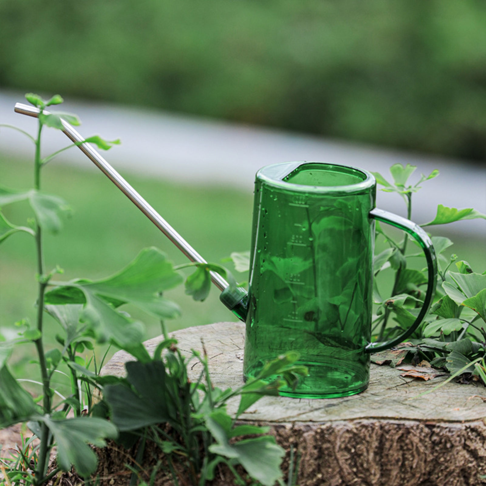 إبريق سقي للنباتات الداخلية سع - مراجعة Watering Can Long Spout وسعره