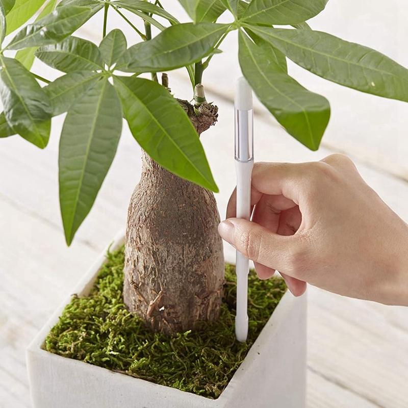 جهاز قياس رطوبة التربة، 5 قطع، - مراجعة Moisture Meter Plant وسعره