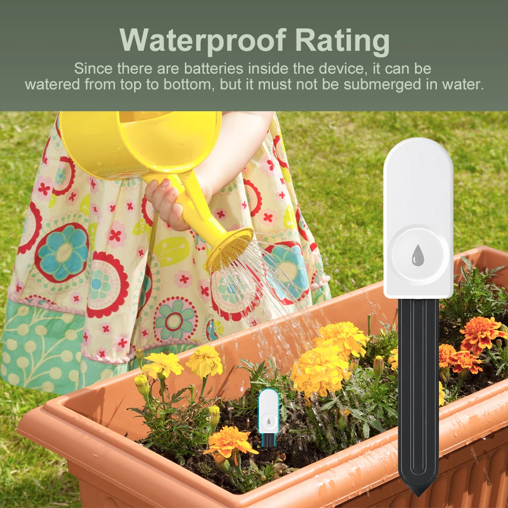 5 قطع من أجهزة قياس رطوبة التر - مراجعة Moisture Meter Plant وسعره