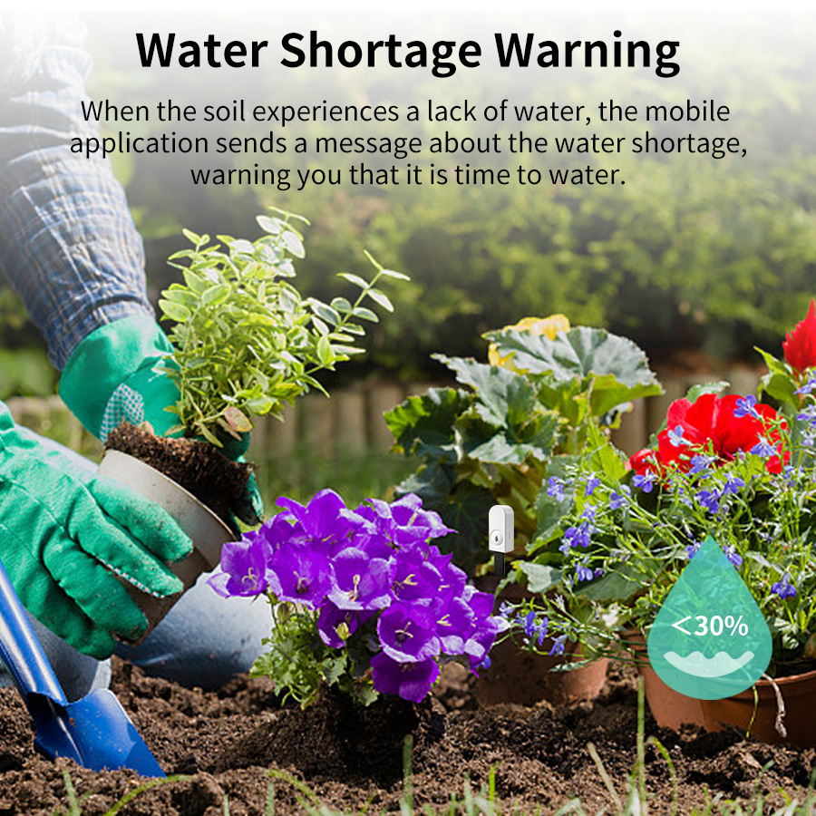 جهاز استشعار رطوبة التربة الذك - مراجعة Moisture Meter Plant وسعره