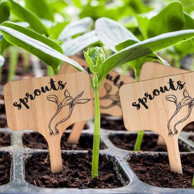 10-60 قطعة من علامات النباتات  - مراجعة Gardening Tools Types وسعره