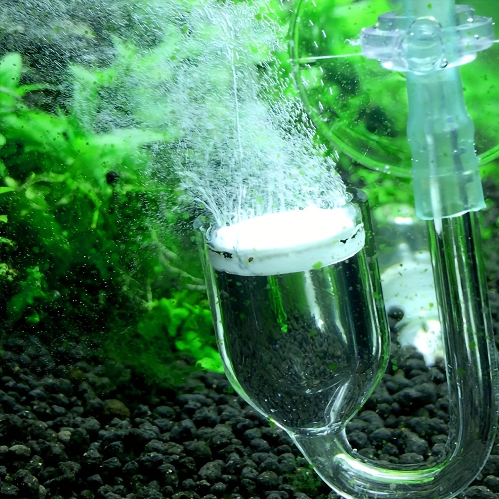 حوض السمك الزجاج CO2 البخاخة ا - مراجعة Aquaponics Fish Tank وسعره