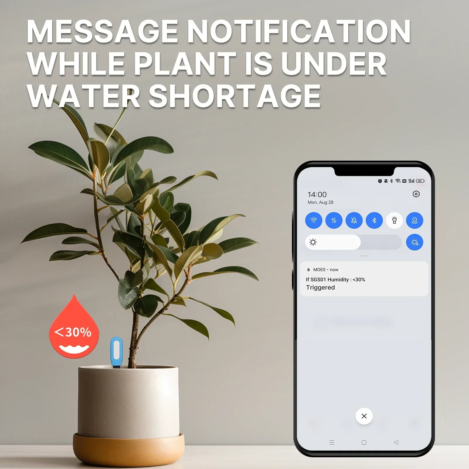 مقياس درجة حرارة التربة ZigBee - مراجعة Moisture Meter Plant وسعره