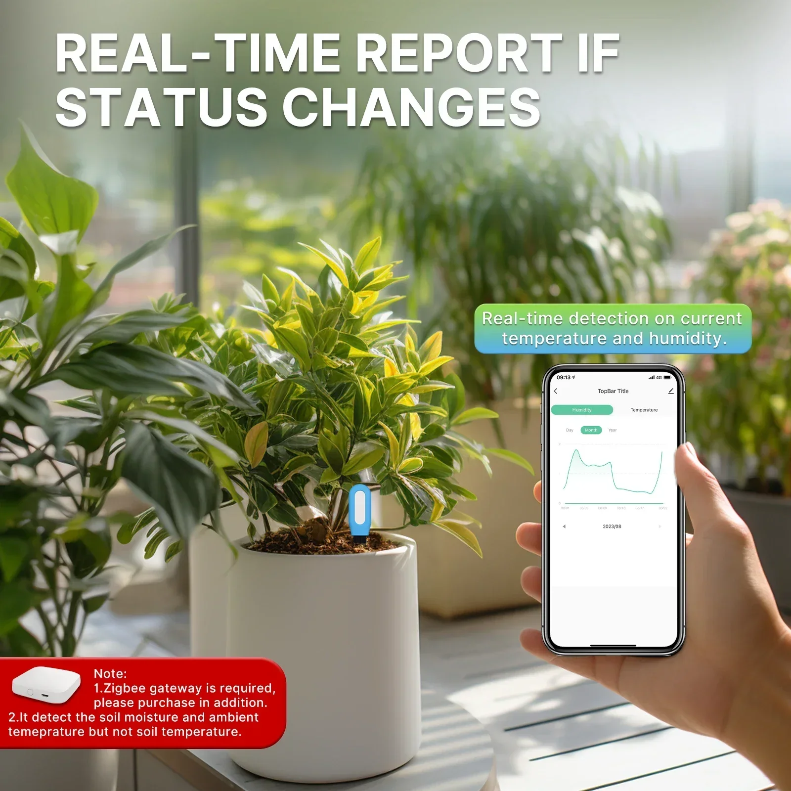 مقياس درجة حرارة التربة ZigBee - مراجعة Moisture Meter Plant وسعره
