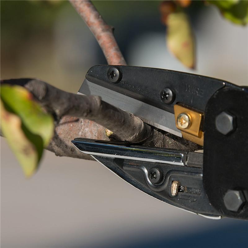 3In1 نبات تقليم البستنة المقلم - مراجعة Gardening Tools To Cut Branches وسعره