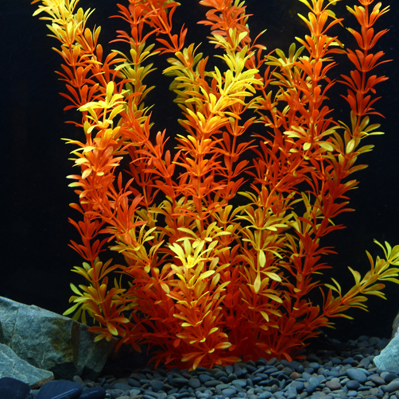 نباتات استوائية اصطناعية بطول  - مراجعة Aquaponics Fish Tank وسعره