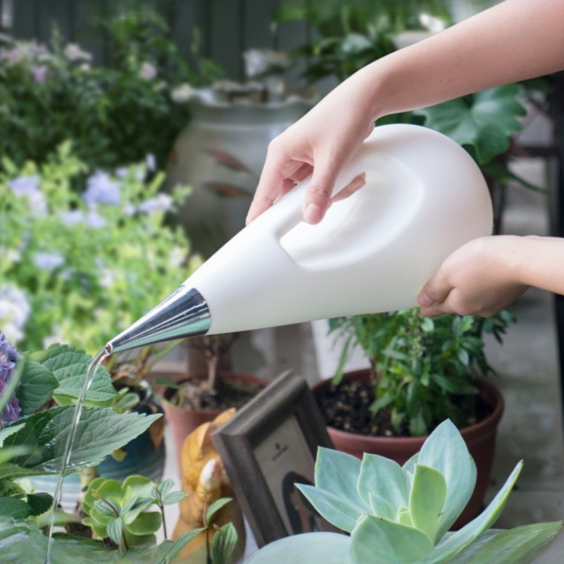 إبريق سقي طويل الفوهة للنباتات - مراجعة Watering Can Long Spout وسعره