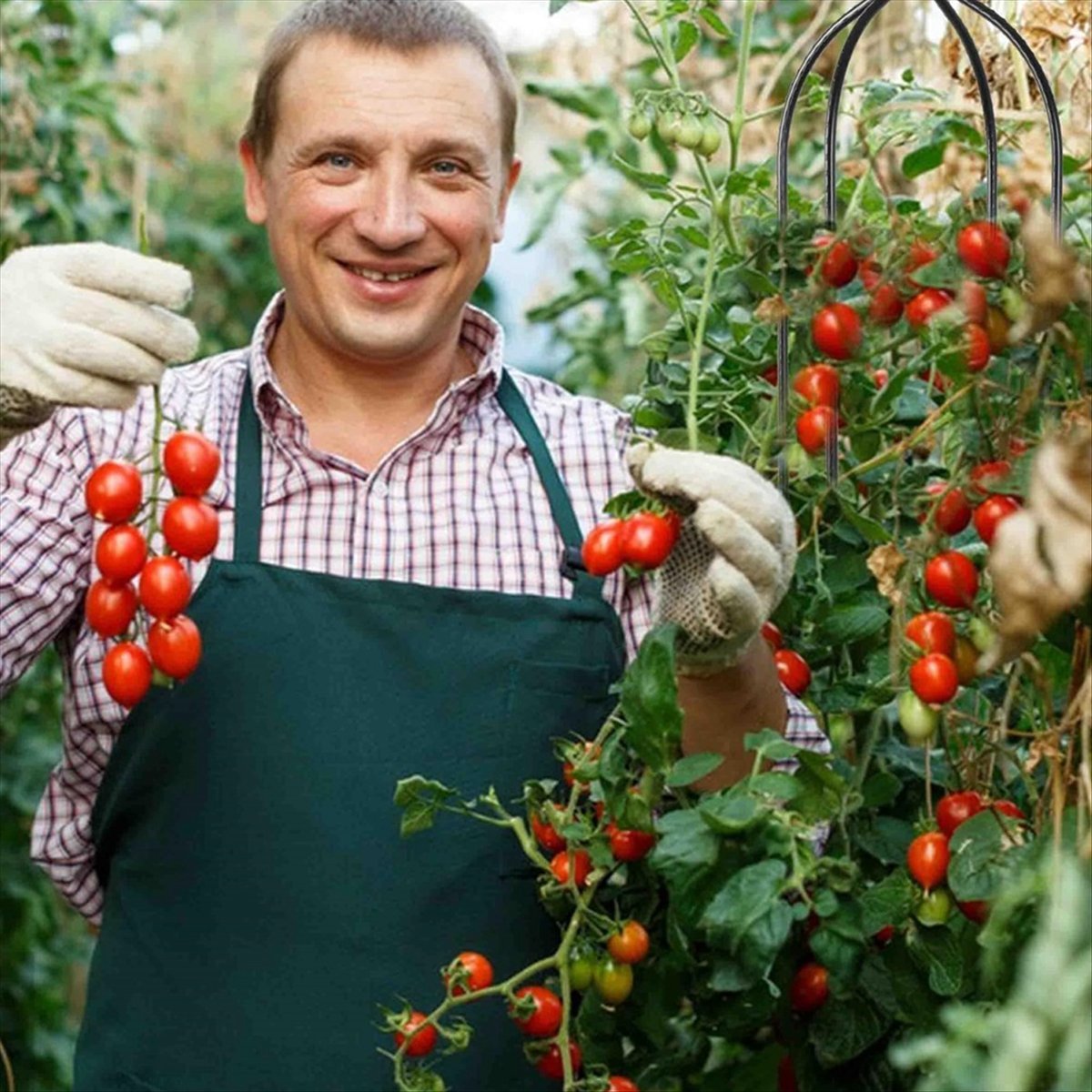 AT16 عمود تسلق للنباتات، دعامة - مراجعة Gardening Tools B&M وسعره