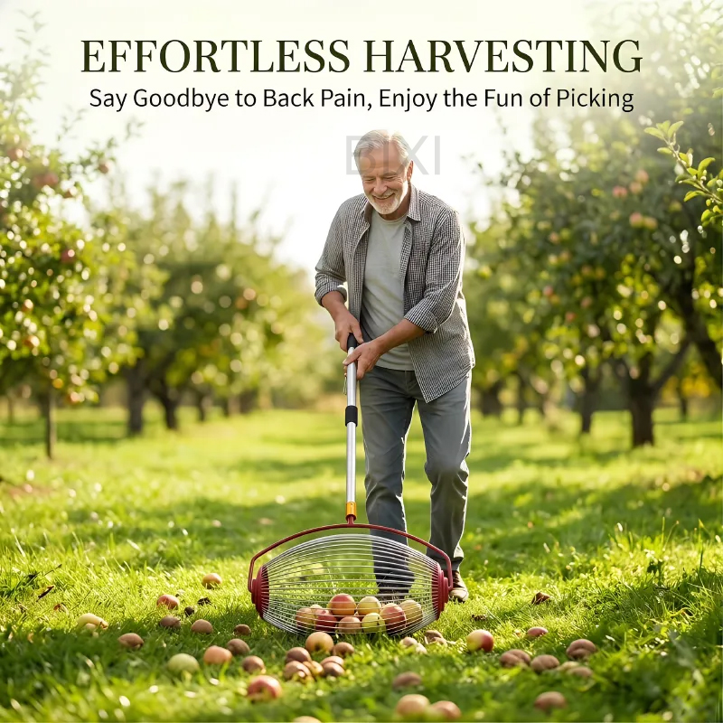 جامع المكسرات الدوار، أداة جمع - مراجعة Gardening Tools Types وسعره