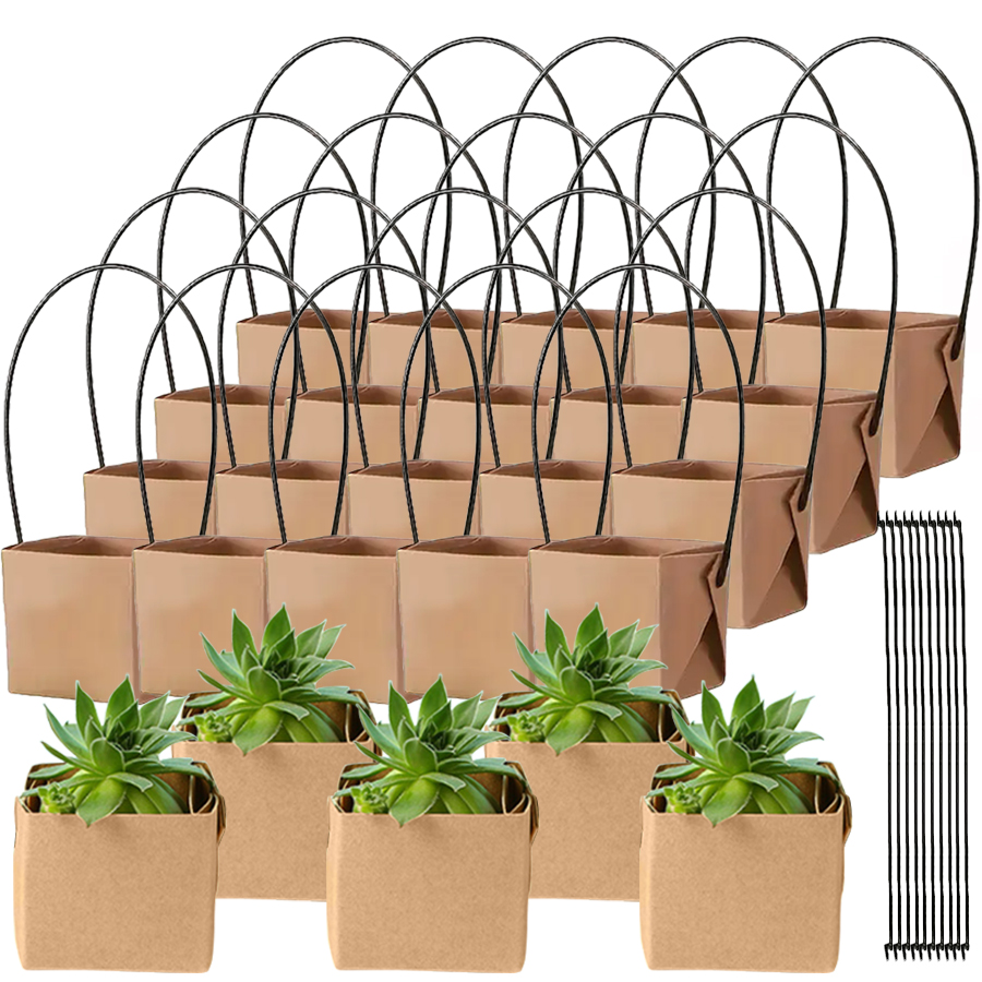 E9 5 قطع 6 سم صندوق نباتات عصا - مراجعة Gardening Tools Women وسعره