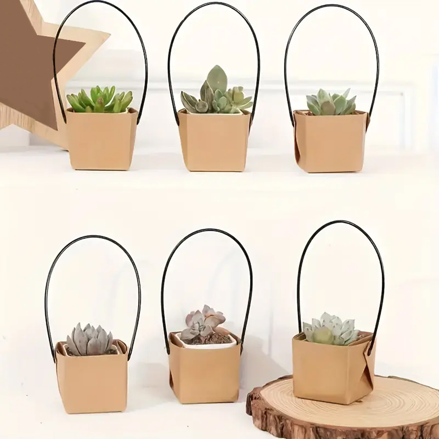 E9 5 قطع 6 سم صندوق نباتات عصا - مراجعة Gardening Tools Women وسعره