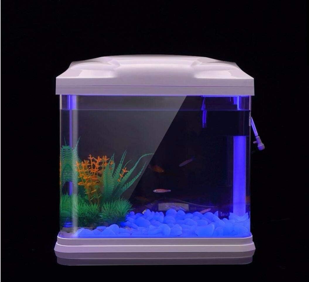 حوض السمك الصخور توهج الحصى ال - مراجعة Aquaponics Fish Tank وسعره