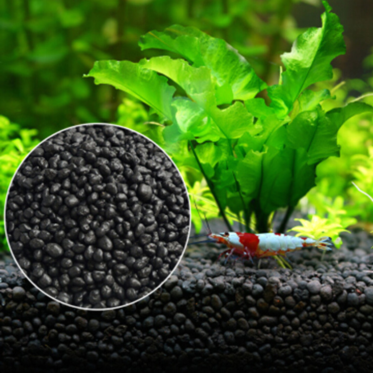نباتات أحواض السمك ، التربة ،  - مراجعة Aquaponics Fish Tank وسعره