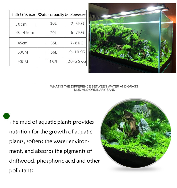 نباتات أحواض السمك ، التربة ،  - مراجعة Aquaponics Fish Tank وسعره
