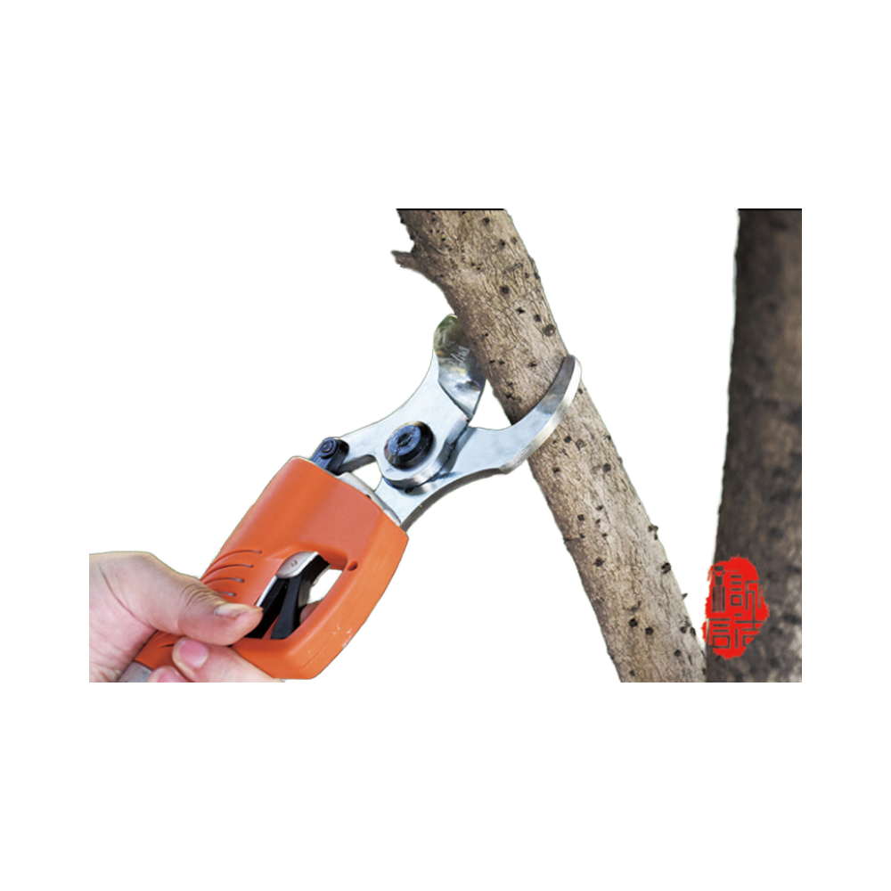 2026 أداة قطع الحديقة مقص لاسل - مراجعة Gardening Tools To Cut Branches وسعره