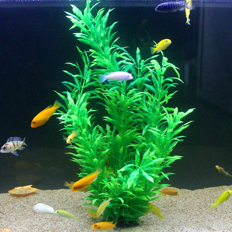 نباتات اصطناعية نادرة لأحواض ا - مراجعة Aquaponics Fish Tank وسعره