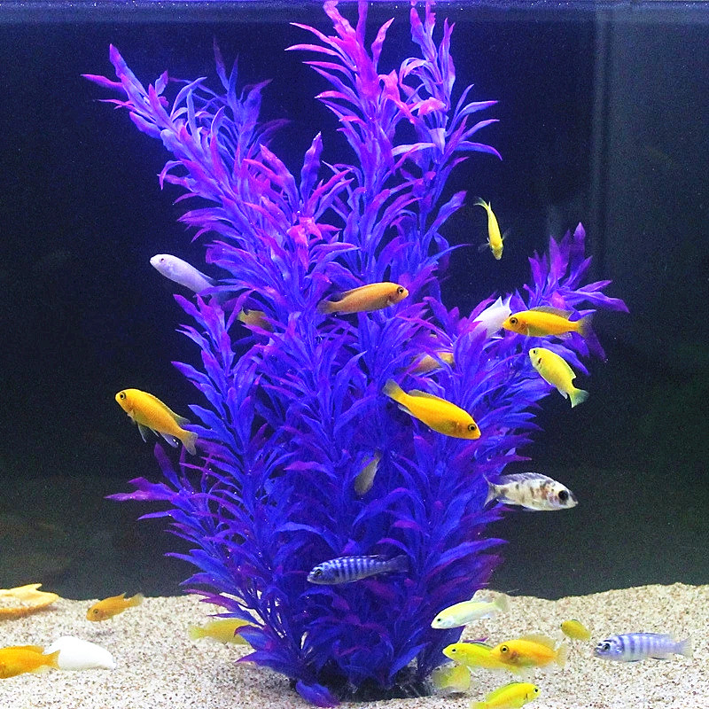 نباتات اصطناعية نادرة لأحواض ا - مراجعة Aquaponics Fish Tank وسعره