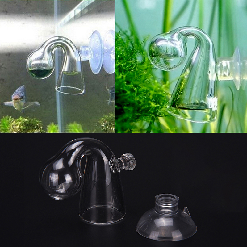 زجاج منتشر CO2 قطرة مدقق حوض ا - مراجعة Aquaponics Fish Tank وسعره