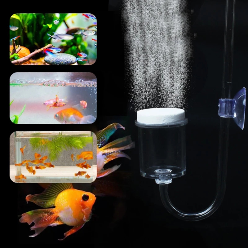 ناشر CO2 لحوض السمك ، خزان زجا - مراجعة Aquaponics Fish Tank وسعره